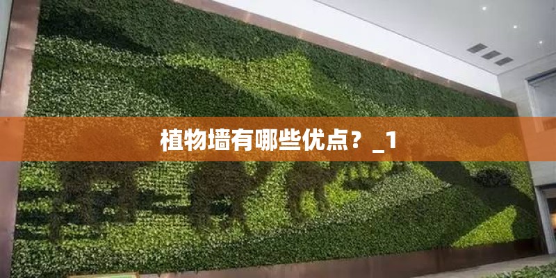 植物墙有哪些优点?_1 植物墙有哪些优点?_1
