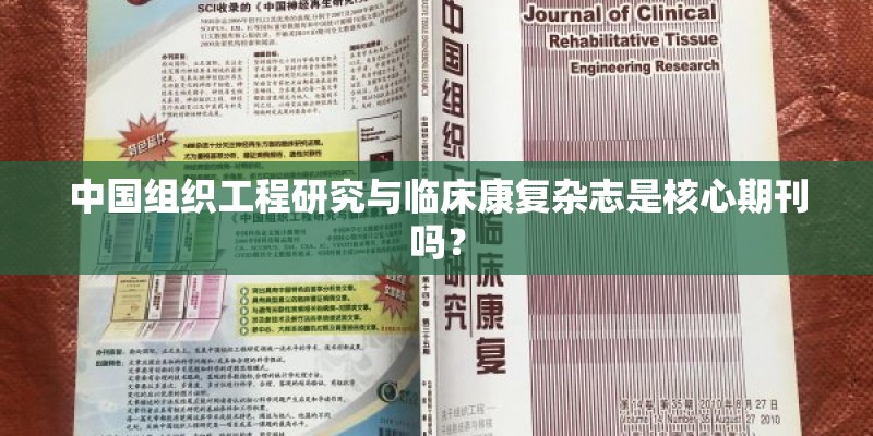 中国组织工程研究与临床康复杂志是核心期刊吗？