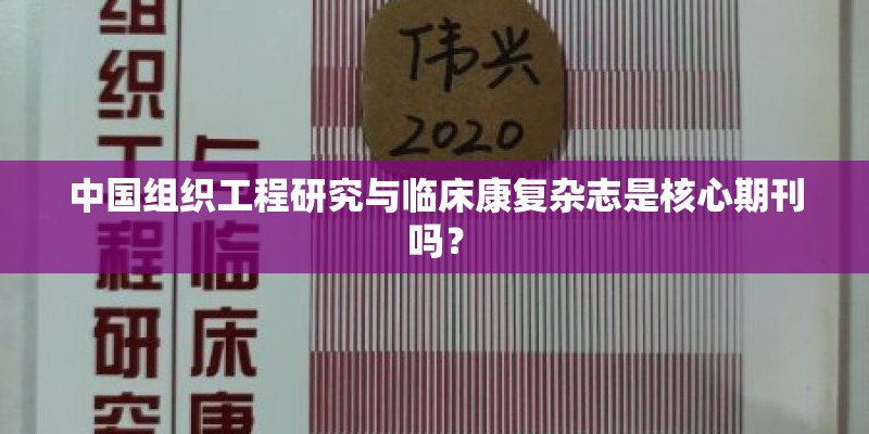 中国组织工程研究与临床康复杂志是核心期刊吗？