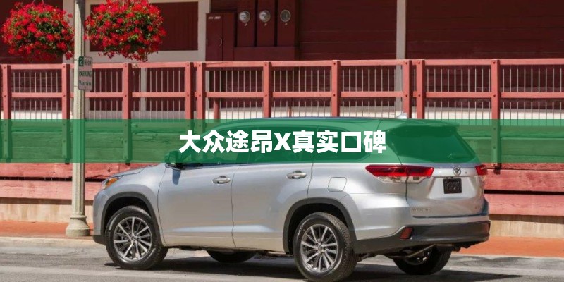 大众途昂X真实口碑