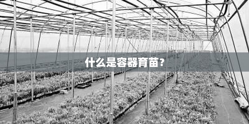 什么是容器育苗？
