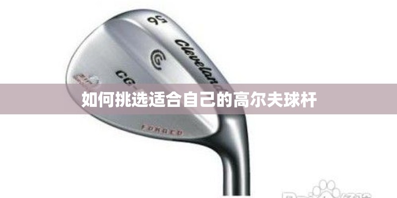 如何挑选适合自己的高尔夫球杆