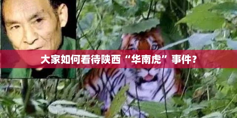 大家如何看待陕西“华南虎”事件？