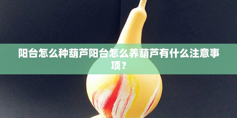 阳台怎么种葫芦阳台怎么养葫芦有什么注意事项？