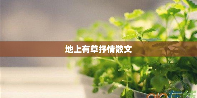 地上有草抒情散文