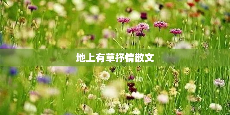 地上有草抒情散文