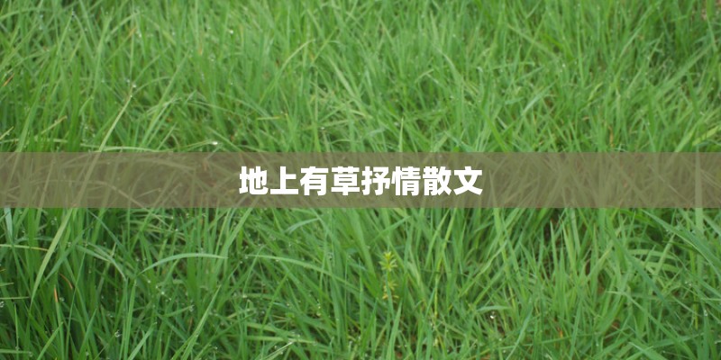 地上有草抒情散文