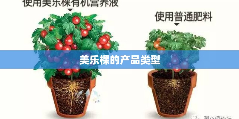 美乐棵的产品类型