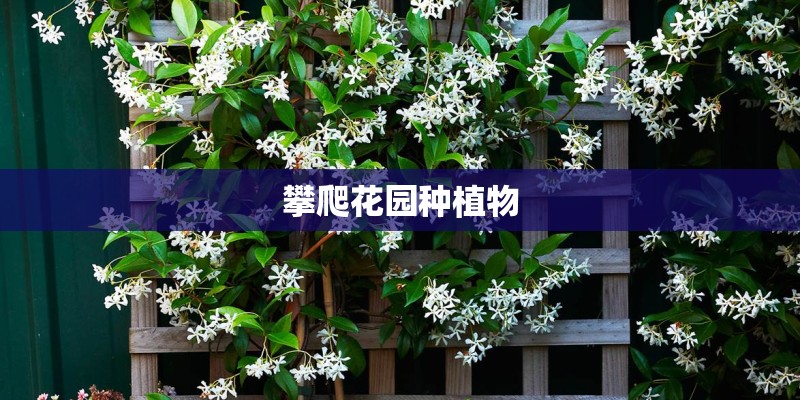 农村耕地搞种植业,可以建房吗? 农村耕地搞种植业,可以建房吗?