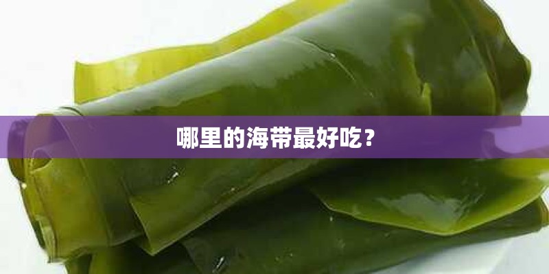 哪里的海带最好吃？