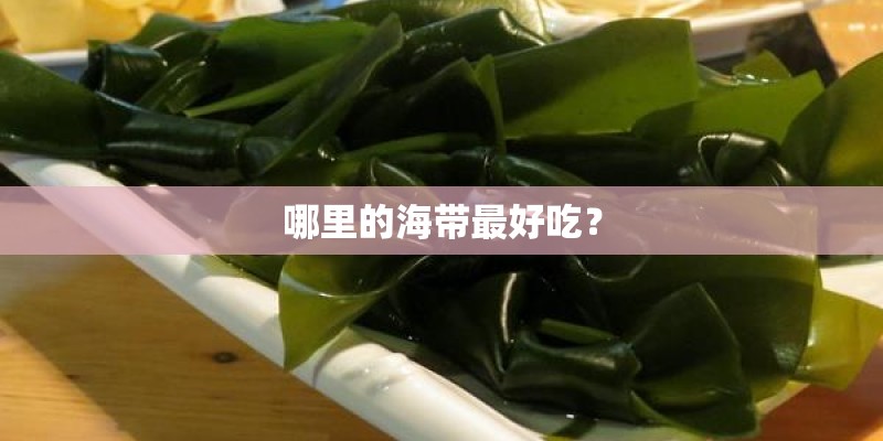 哪里的海带最好吃？
