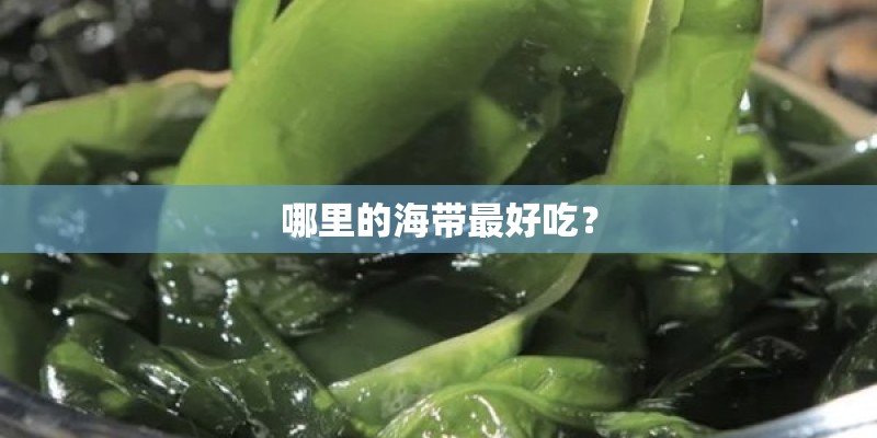 哪里的海带最好吃？