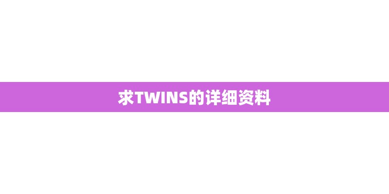 求TWINS的详细资料