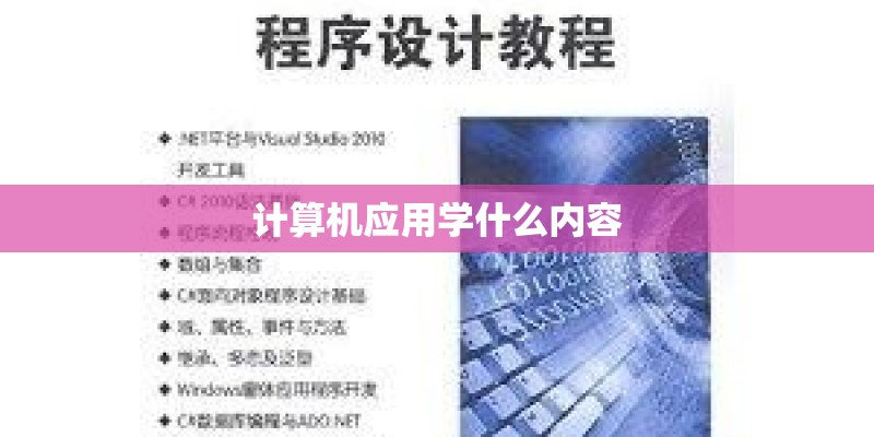 计算机应用学什么内容