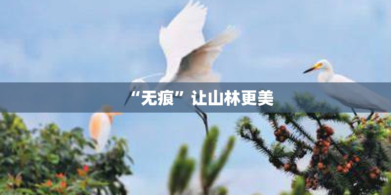 “无痕”让山林更美 “无痕”让山林更美