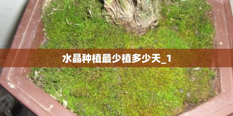 水晶种植最少植多少天_1
