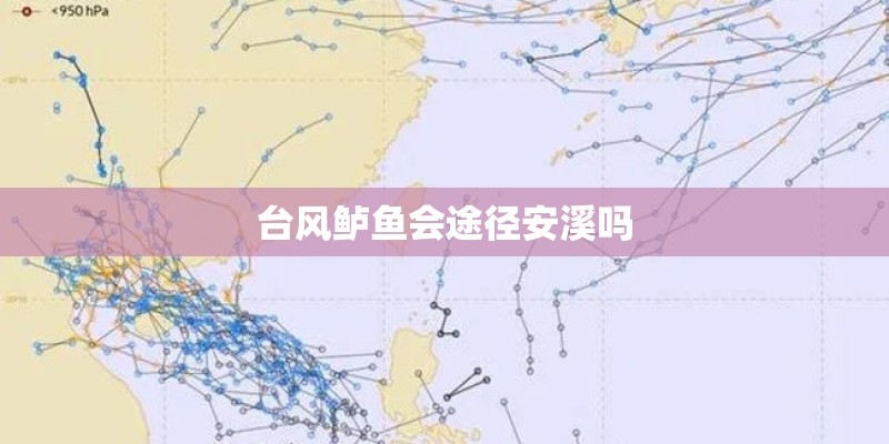 台风鲈鱼会途径安溪吗