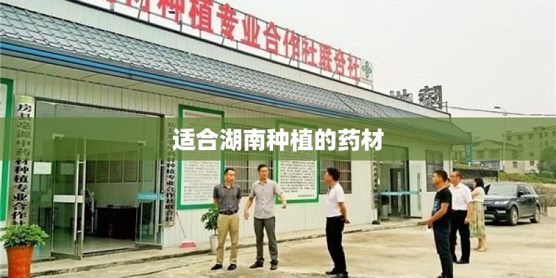 适合湖南种植的药材