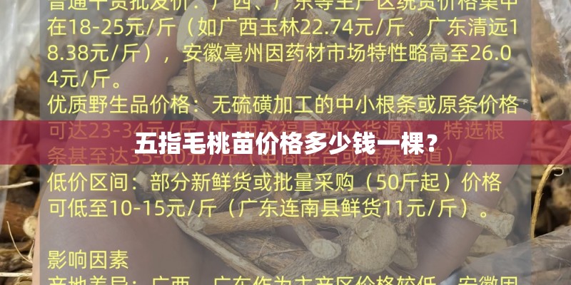 五指毛桃苗价格多少钱一棵？