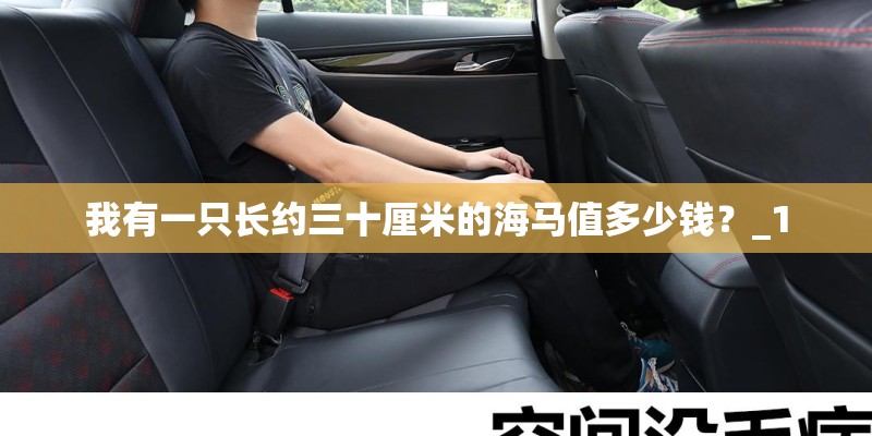 我有一只长约三十厘米的海马值多少钱？_1