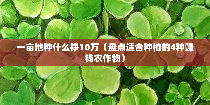 一亩地种什么挣10万(盘点适合种植的4种赚钱农作物) 一亩地种什么挣10万(盘点适合种植的4种赚钱农作物)