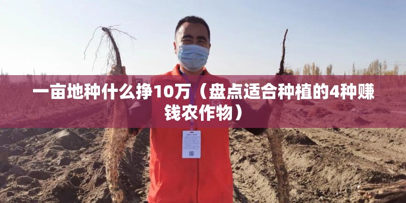 一亩地种什么挣10万(盘点适合种植的4种赚钱农作物) 一亩地种什么挣10万(盘点适合种植的4种赚钱农作物)