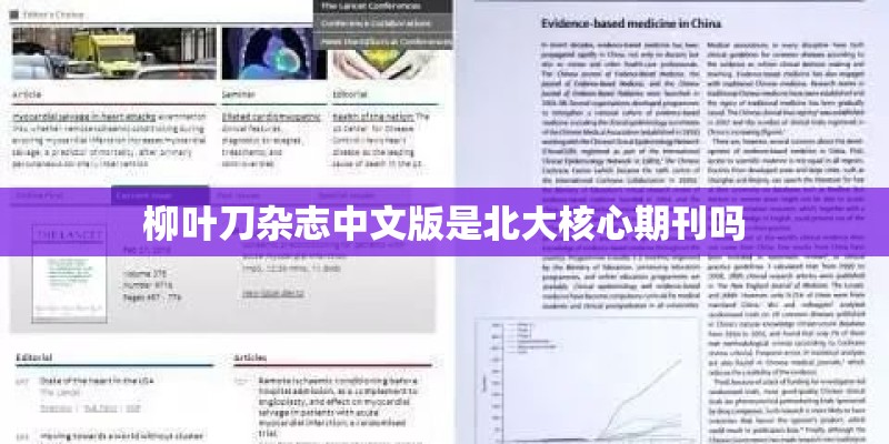 柳叶刀杂志中文版是北大核心期刊吗
