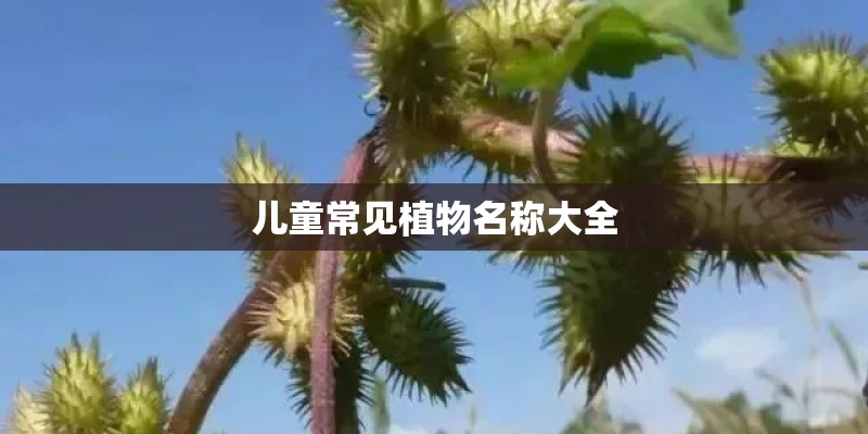儿童常见植物名称大全