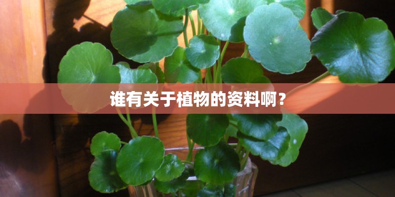 谁有关于植物的资料啊？