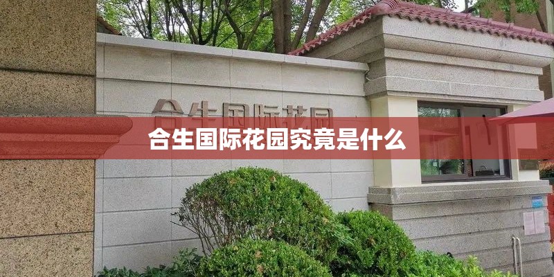 合生国际花园究竟是什么
