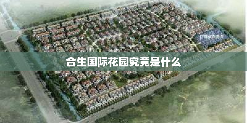 合生国际花园究竟是什么