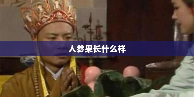 人参果长什么样 人参果长什么样
