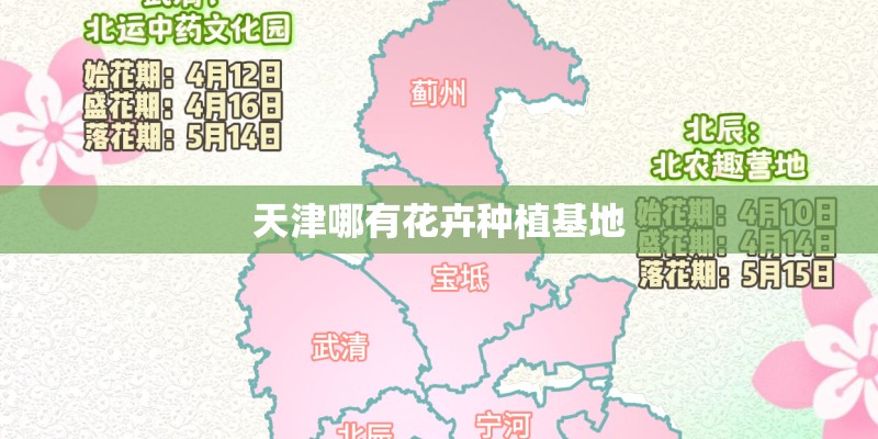 天津哪有花卉种植基地 天津哪有花卉种植基地