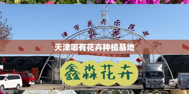 天津哪有花卉种植基地 天津哪有花卉种植基地