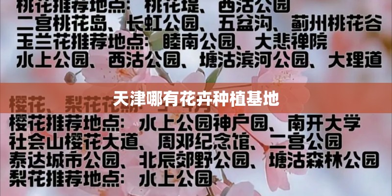 天津哪有花卉种植基地 天津哪有花卉种植基地