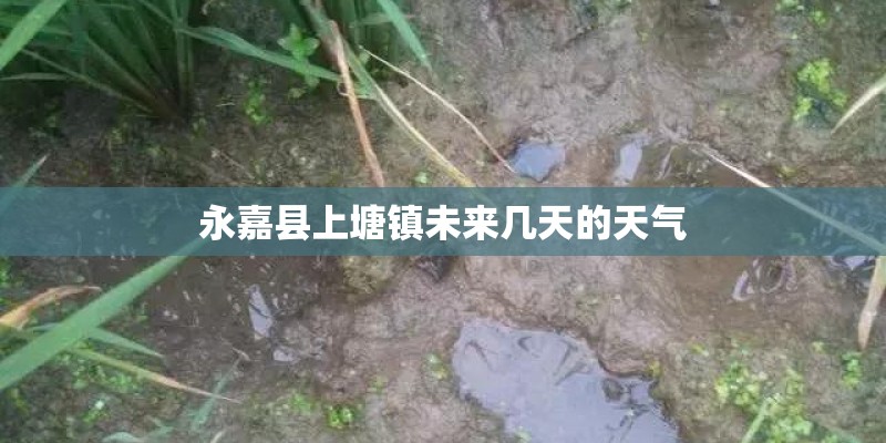 永嘉县上塘镇未来几天的天气