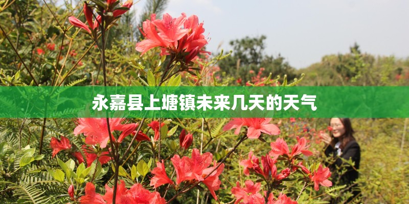 永嘉县上塘镇未来几天的天气