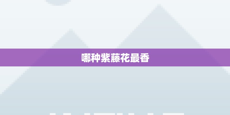 哪种紫藤花最香 哪种紫藤花最香