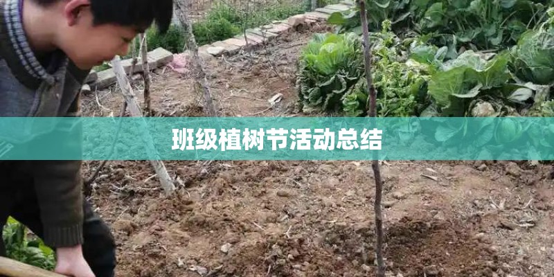 班级植树节活动总结