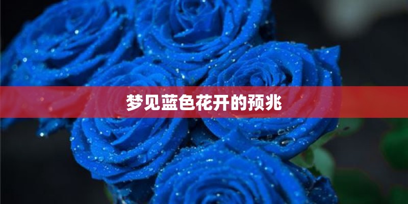 梦见蓝色花开的预兆