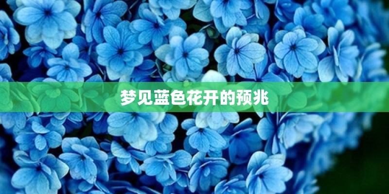 梦见蓝色花开的预兆