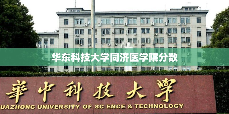 华东科技大学同济医学院分数 华东科技大学同济医学院分数