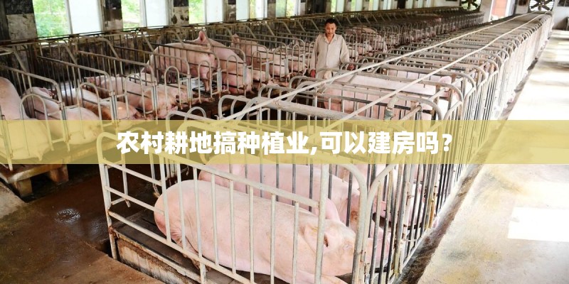 农村耕地搞种植业,可以建房吗? 农村耕地搞种植业,可以建房吗?