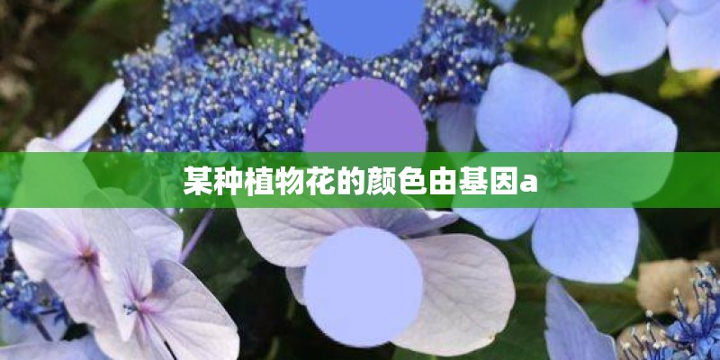 某种植物花的颜色由基因a 某种植物花的颜色由基因a