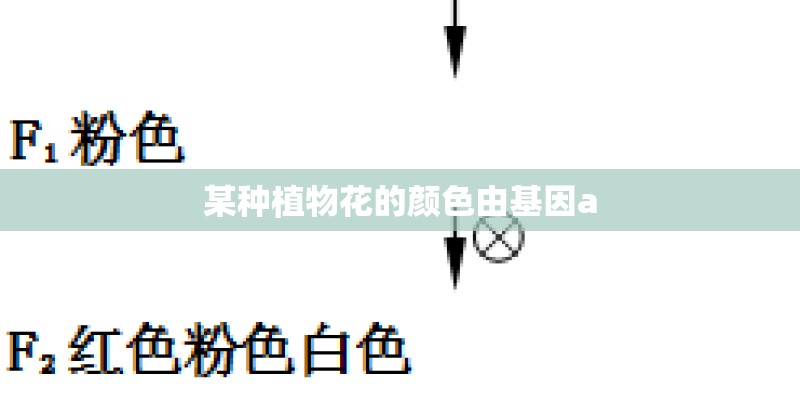 某种植物花的颜色由基因a 某种植物花的颜色由基因a