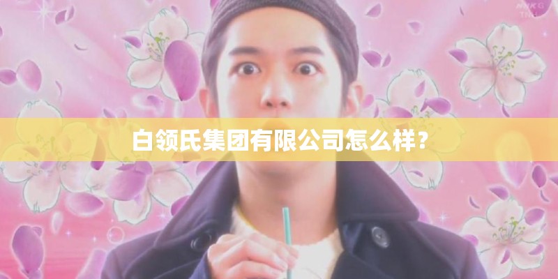白领氏集团有限公司怎么样? 白领氏集团有限公司怎么样?
