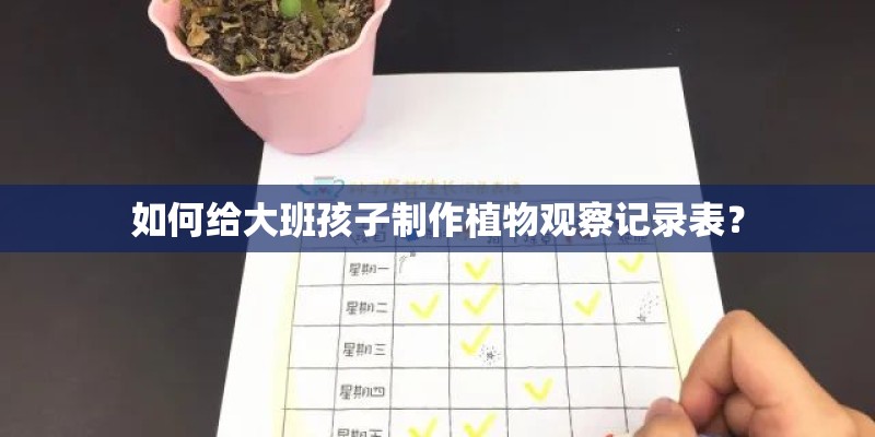 如何给大班孩子制作植物观察记录表？