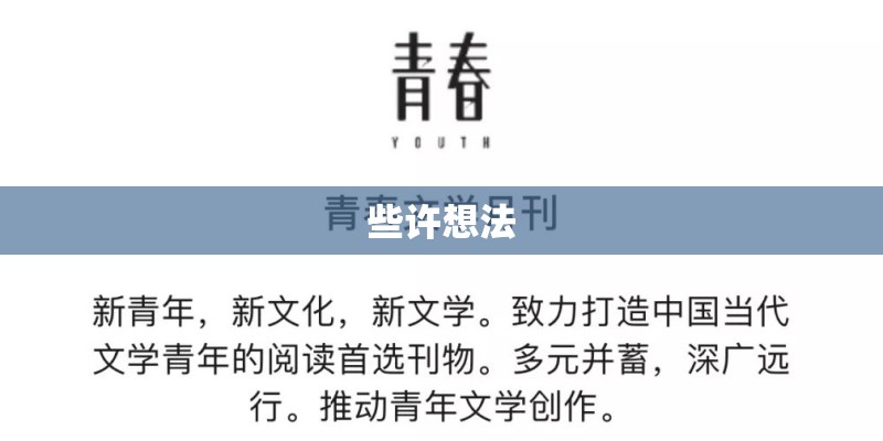 些许想法