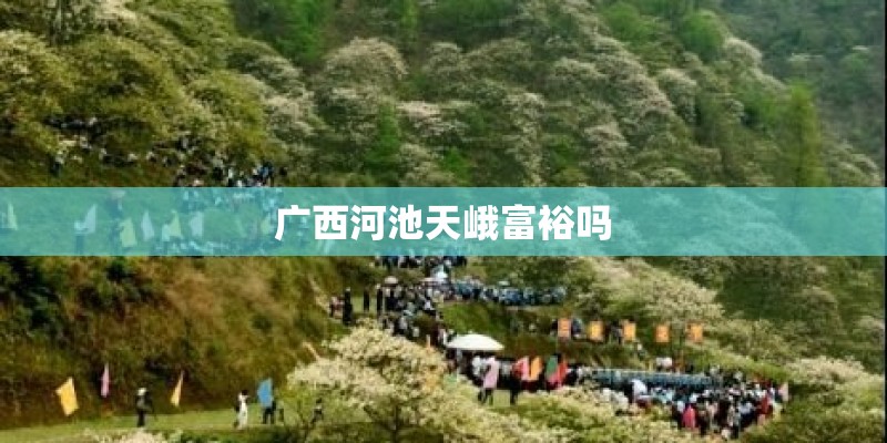 广西河池天峨富裕吗