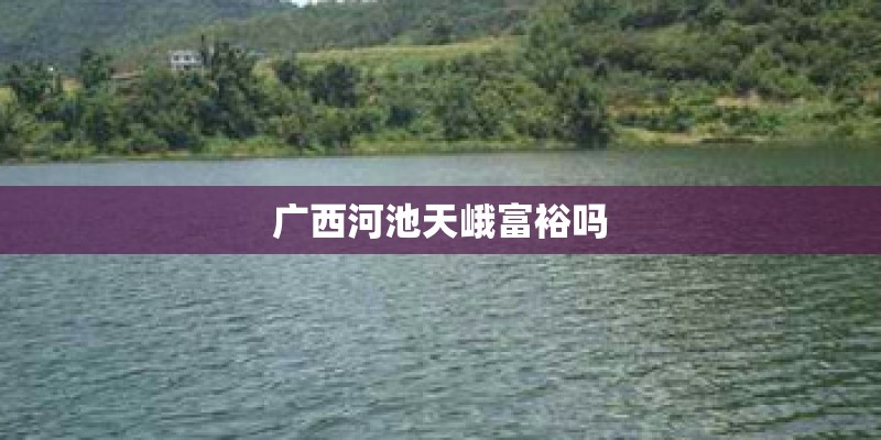 广西河池天峨富裕吗